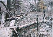 Erster Schnee, 1989, 48x35cm, Aquarell